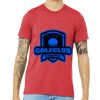 Unisex Triblend Tee (same day) Thumbnail