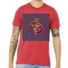 Unisex Triblend Tee (same day) Thumbnail